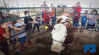 Pike County Ag Awareness Day