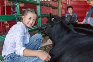 Young girl smiling next to calf